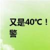 又是40℃！上海连续第二日发布高温红色预警