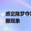 感觉陈梦夺冠后有点落寞 网友聚焦赛场外饭圈现象