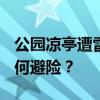 公园凉亭遭雷击坍塌致6死10伤，突遇雷电如何避险？