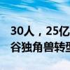 30人，25亿美元卖身，大模型淘汰赛加速 硅谷独角兽转型求生