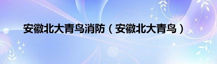 合肥北大青鸟费用（北大青鸟消防代理商安徽）