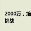 2000万，培养不出郑钦文 网球新星的荣耀与挑战