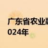 广东省农业融资担保有限责任公司招聘公告2024年