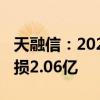 天融信：2024年上半年营收8.73亿 净利润亏损2.06亿