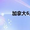 加拿大6月批发销售环比下降0.6%