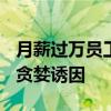 月薪过万员工套现客户8000获刑 系统漏洞成贪婪诱因