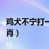 鸡犬不宁打一生肖什么动物（鸡犬不宁打一生肖）