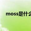 moss是什么牌子的衣服（moss是什么）