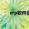 erp软件是啥（erp软件是做什么的）