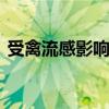 受禽流感影响 美国鸡蛋价格同比飙升19.1%