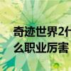 奇迹世界2什么职业厉害一点（奇迹世界2什么职业厉害）