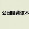 公园晒背该不该管 公共空间的养生自由界限