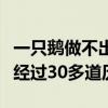 一只鹅做不出一只球！羽毛在成“球”之前要经过30多道历练