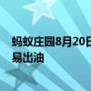 蚂蚁庄园8月20日答案：为什么人的前额、鼻子和下巴更容易出油