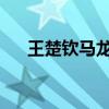 王楚钦马龙拿下首盘 3-0横扫法国组合