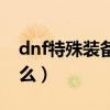 dnf特殊装备是什么装备（dnf特殊装备是什么）