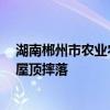 湖南郴州市农业农村局副局长雷志斌因公殉职，不慎从4楼屋顶摔落