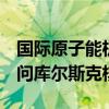 国际原子能机构总干事格罗西有意于8月底访问库尔斯克核电站