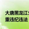 大唐黑龙江公司原总经理张春雷被查 涉嫌严重违纪违法