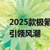 2025款极氪007上市售20.99万起 智驾升级引领风潮