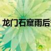 龙门石窟雨后变“龙门瀑布”，网友：震撼！