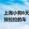 上海小狗6天走丢三次在浙江找回 跳上了一辆货拉拉的车