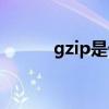 gzip是什么进程（gzip是什么）