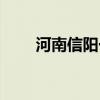 河南信阳一小区电梯发生事故致1死