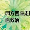 园方回应走钢丝演员坠落 表演暂停，演员送医救治