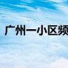 广州一小区频现“高空坠猫” 居民忧心忡忡