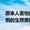 原来人害怕的时候头发真的会竖起来 揭秘恐惧的生理奥秘