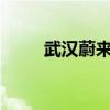 武汉蔚来能源公司新增AI软件业务