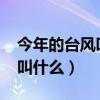 今年的台风叫什么名字2023年（今年的台风叫什么）