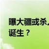 曝大疆或杀入无反相机市场 影像领域新巨擘诞生？