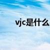 vjc是什么品牌价格（vjc是什么品牌）