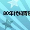 80年代知青是什么意思（知青是什么意思）