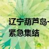 辽宁葫芦岛一村子水位已接近房顶 救援力量紧急集结