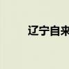 辽宁自来水公司将多日停水？不实