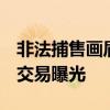 非法捕售画眉鸟800多只 41人落网 网络黑市交易曝光