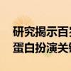 研究揭示百岁老人认知健康背后秘密 金属硫蛋白扮演关键角色