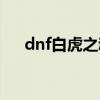 dnf白虎之魂时装是哪年的（dnf白虎）