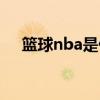 篮球nba是什么意思（nba是什么意思）