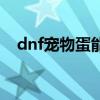 dnf宠物蛋能卖吗（dnf宠物蛋能交易吗）