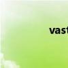 vasto品牌档次（vasto）