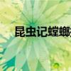 昆虫记螳螂捕食内容概括（昆虫记螳螂）