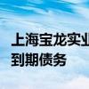 上海宝龙实业：公司部分并表子公司未能清偿到期债务