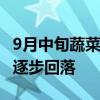 9月中旬蔬菜供应能恢复至往年水平 菜价或将逐步回落