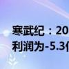 寒武纪：2024年半年度营收下降43.42% 净利润为-5.3亿元