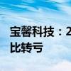 宝馨科技：2024年上半年净亏损1.06亿元 同比转亏