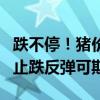 跌不停！猪价“破位”下跌 养殖端心态生变，止跌反弹可期